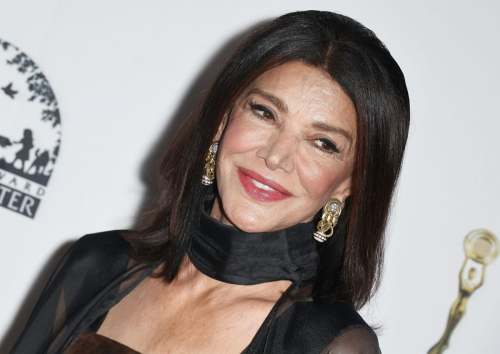 Shohreh Aghdashloo Hollywood Beauty Awards Glam, April 2025 1