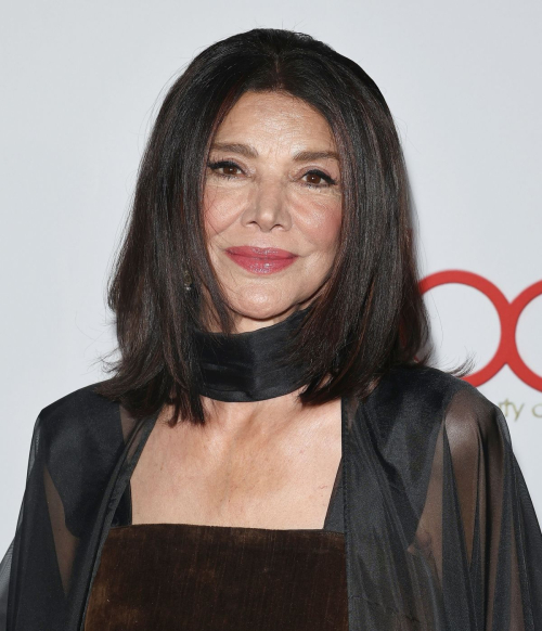 Shohreh Aghdashloo Hollywood Beauty Awards Glam, April 2025 4