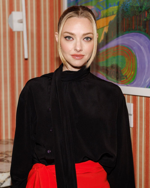 Amanda Seyfried at THR Frontrunner: Long Bright River Event, May 2025 6