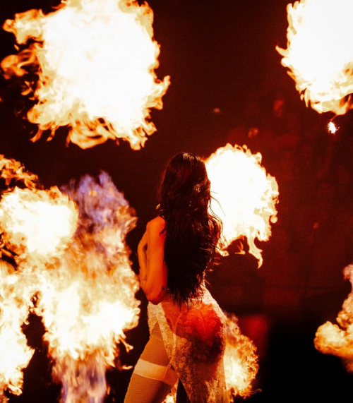 Dua Lipa Performing at Concert in Lyon, May 2025 1