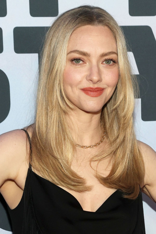 Amanda Seyfried at I Don’t Understand You Screening 2