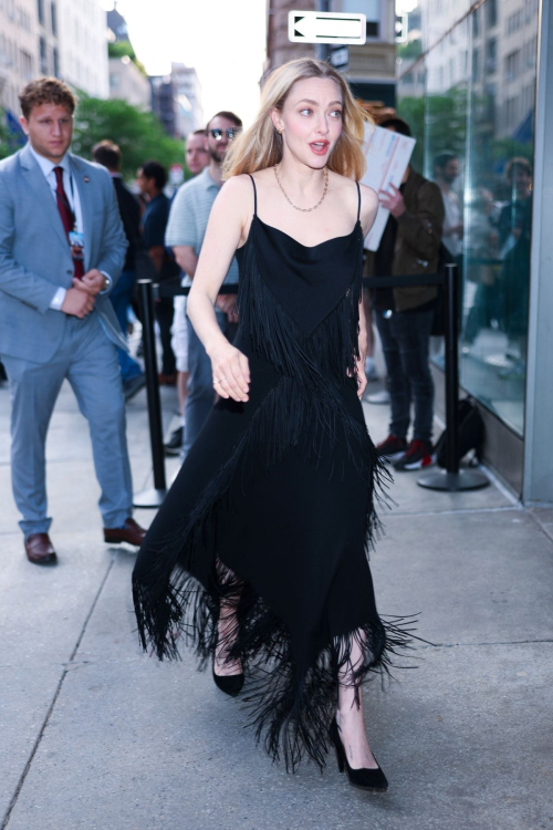 Amanda Seyfried at I Don’t Understand You Screening