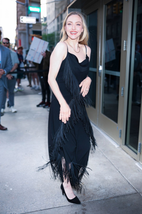 Amanda Seyfried at I Don’t Understand You Screening 3