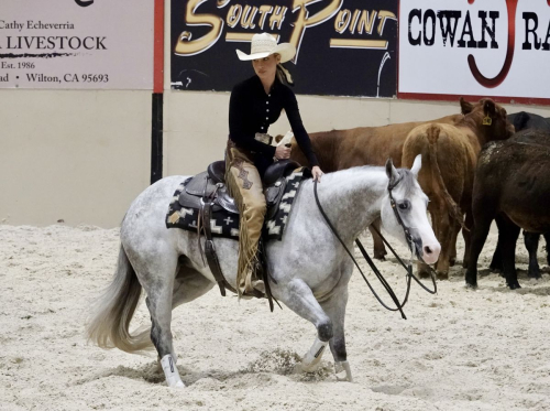 Bella Hadid Practices Horse Cutting Championship Las Vegas, June 2025 2