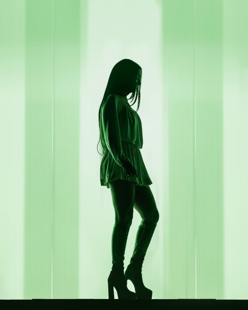 Charli XCX live at We Love Green Festival, June 2025 2