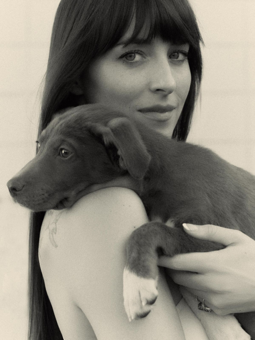 Dakota Johnson for Flaunt Magazine, June 2025 4
