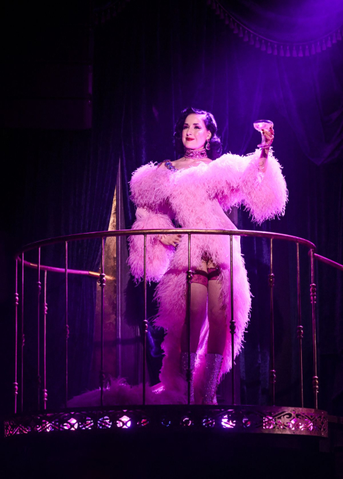 Dita Von Teese at Diamonds and Dust Photocall, June 2025 1