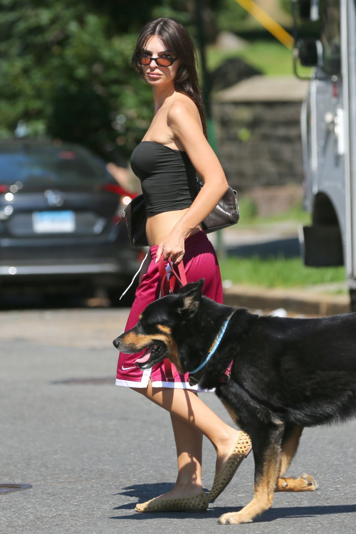 Emily Ratajkowski Walks Her Dog in Brooklyn, June 2025 6