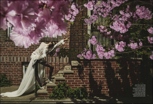 Phoebe Tonkin in Vogue Australia, June 2025 6