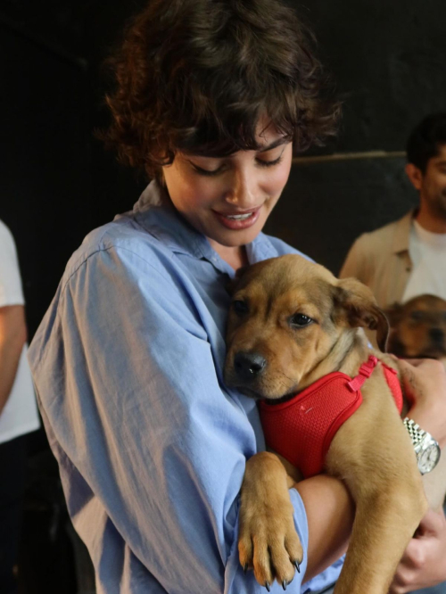 Taylor Hill at Dogist Rescue Event Philly, June 2025