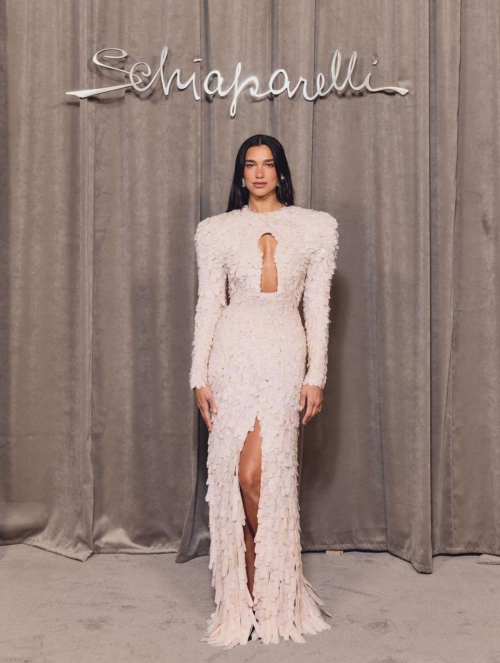 Dua Lipa elegant photoshoot session, July 2025 12