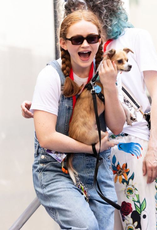 Sadie Sink at Broadway Barks Adoption Event, July 2025 5