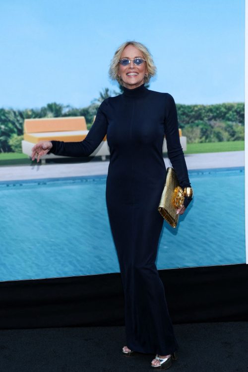 Sharon Stone Nobody 2 Premiere Hollywood, May 2025 5