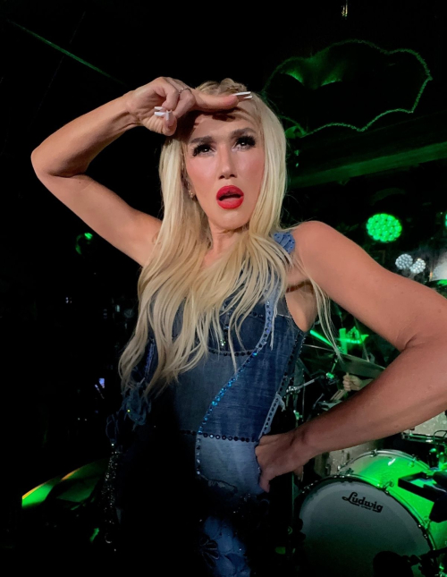 Gwen Stefani performs at a private show Long Island, August 2025 1