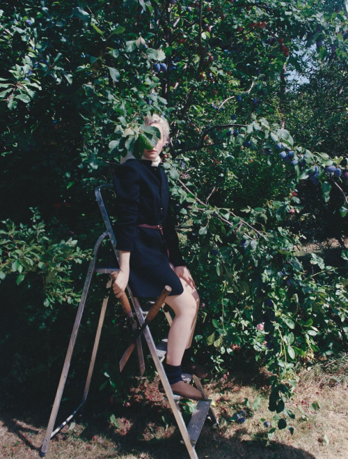 Julia Garner Pop Magazine Issue 53, September 2025 1